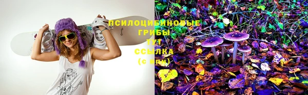 молекула духа Верхний Тагил