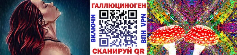 Псилоцибиновые грибы Magic Shrooms  где купить наркоту  Камень-на-Оби 